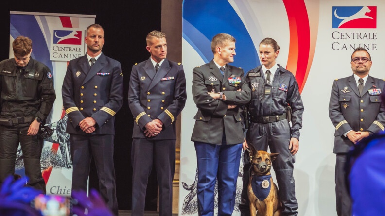 Agrandir l'image Plusieurs gendarmes en uniforme se tiennent debout sur une estrade, face à l'objectif. L'un d'eux, une femme, tient au malinois au cordeau. l'animal est assis à ses pieds et porte une muselière.
