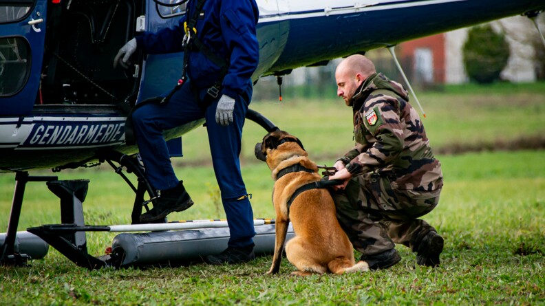 Agrandir l'image Un malinois assis au pied d'un hélicoptère gendarmerie avec son maître s'apprête à y monter. Un second gendarme en combinaison de pilote met un pied droit sur un patin de l'hélicoptère