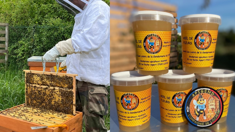 A gauche : un gendarme apiculteur de la compagnie de gendarmerie de Loches, récolte du miel sur une ruche. A droite : cinq pots de miel produits par la compagnie, avec la rondache Apigend.gné est réinvesti pour l'achat des cadeaux de Noël des enfants des gendarmes de la compagnie, via le comité des loisirs.
