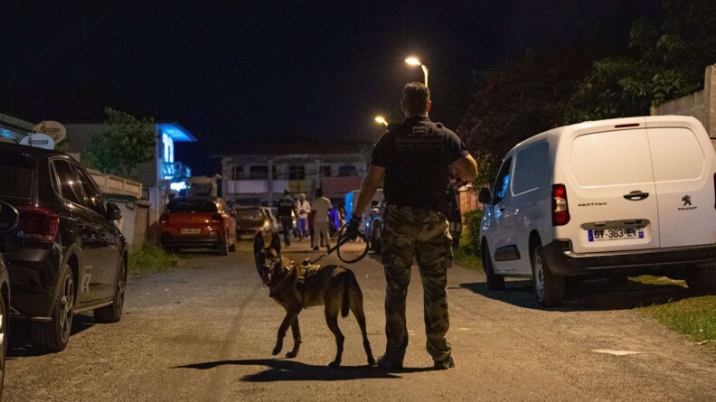 Maître-chien et son chien de nuit lors d'une opération à Saint-Laurent-du-Maroni.