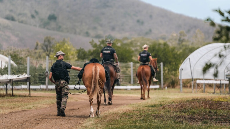 Les gendarmes du PSIC de dos. Deux d'entre eux montent leurs montures pendant que le troisième marche à côté de la sienne.