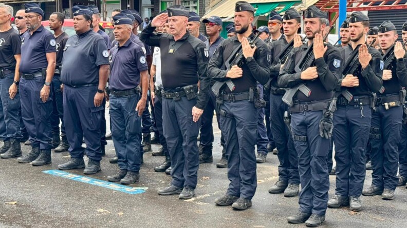 Des gendarmes et policiers alignés au garde à vous