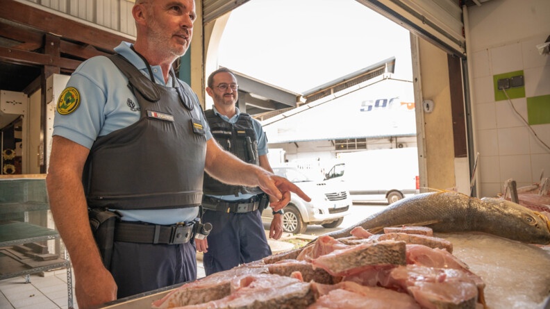 Agrandir l'image Les gendarmes du PAM échangent avec un commerçant du Marché d’intérêt régional (MIR) de Cayenne devant son étal à poissons.