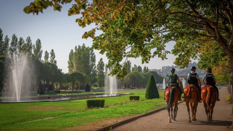 Patrouille dans le barc Borély.
