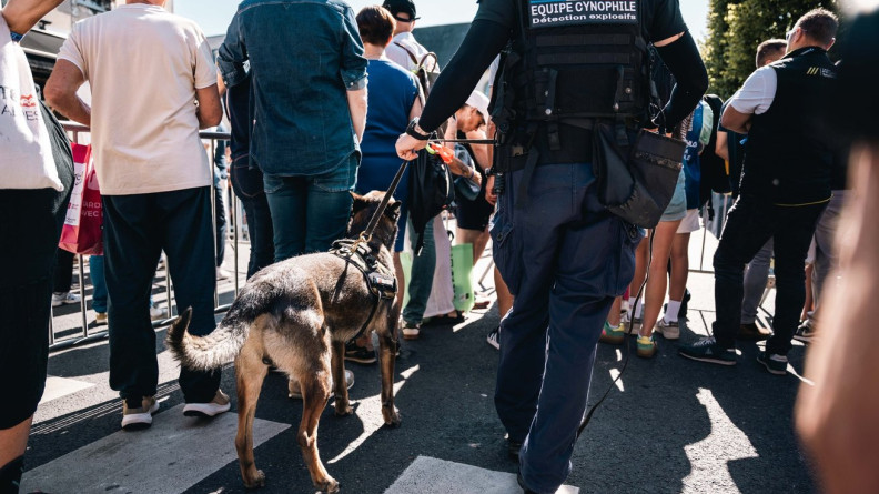 Un chien REXPEMO en patrouille dynamique.