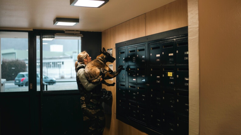 dans le hall d'un immeuble, une femme gendarme porte un malinois au niveau des bo&icirc;tes aux lettres, que le bin&ocirc;me s'appr&ecirc;te &agrave; inspecter.