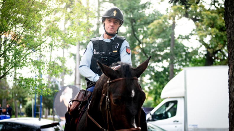 Un cavalier de la garde républicaine sur son cheval, patrouille dans un bois. Juste derrière lui, on devine une route sur laquelle circulent un camion blanc et deux véhicules de couleur sombre. Tout à gauche de l'image, on aperçoit, flouté, un gendarme en tenue.
