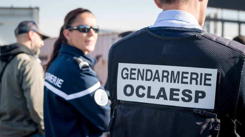 Agrandir l'image