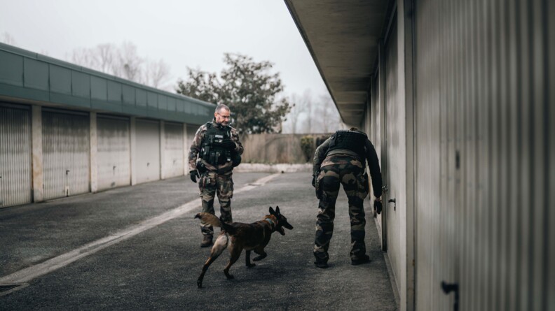 Deux gendarmes et un chien (race malinoise) inspectent les portes d'un box.