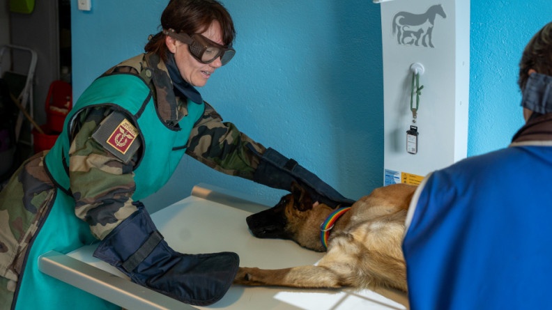 Agrandir l'image La vétérinaire en chef, la colonelle Karine, examine un chien.