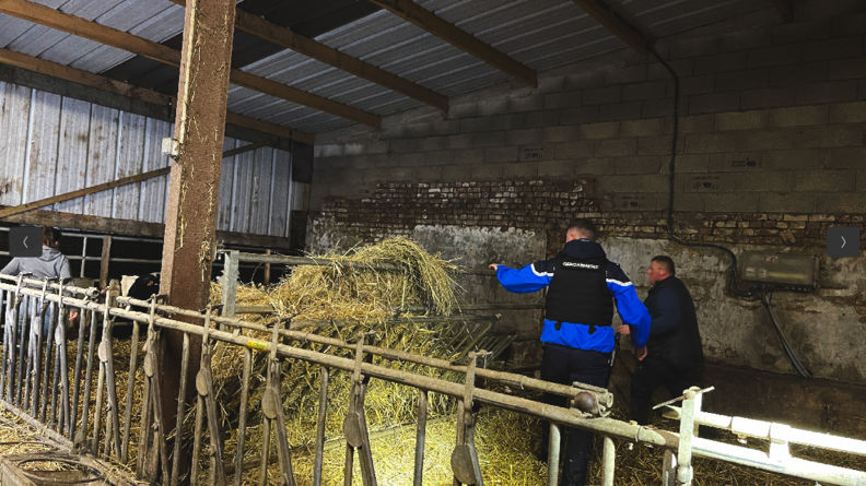 En pleine nuit, les gendarmes viennent en aide à un agriculteur. Ils ont les pieds dans l'eau et son au milieu de la paille qui flotte dans un hangar.