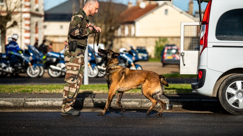 Agrandir l'image Une équipe cynophile avec le maître chien à guche et le chien à droite, à côté de leur véhicule. Les deux se regardent dans les yeux.