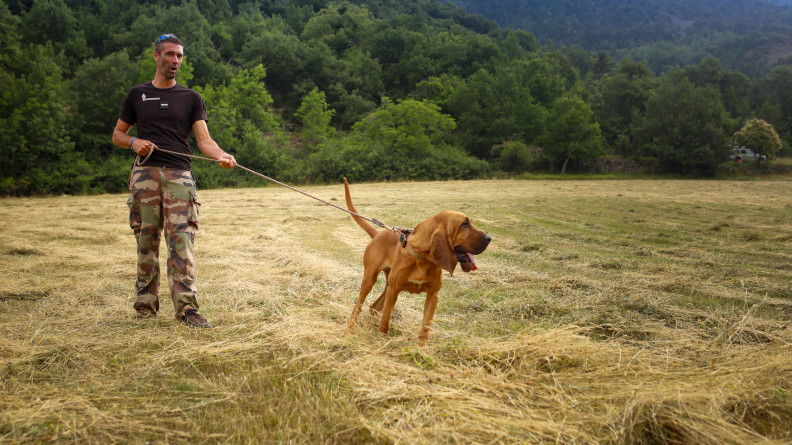 Chien et son maître.