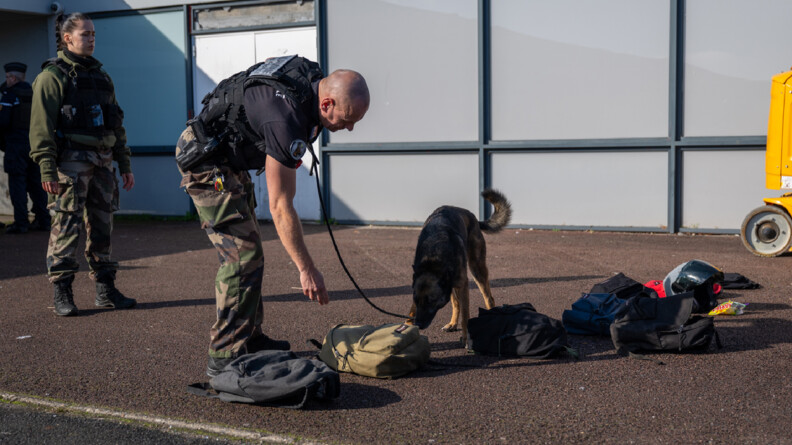Plusieurs sacs &agrave; dos sont en ligne dans une cours, un chien accompagn&eacute; de son ma&icirc;tre est entrain de les sentir.