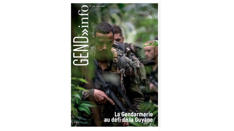 Agrandir l'image