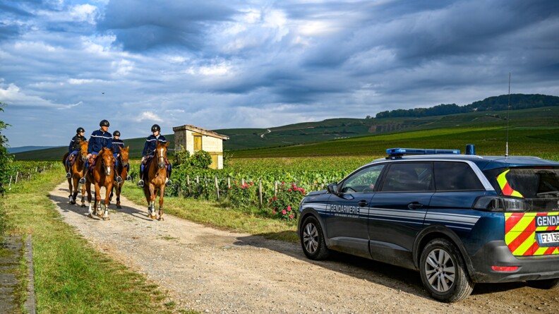 Devant un vaste paysage de vignes sous un ciel nuageux et gris, 4 gendarmes montés de la Garde républicaine, à gauche de la photo, s'avancent sur un chemin. A droite du chemin et de l'image, un SUV de la gendarmerie est stationné