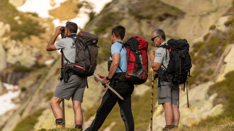 Agrandir l'image Trois personnes de dos avec des sacs à dos. Parmi eux, un gendarme et deux personnels de l'OFB. Il fait jour et la photo est prise en extérieur