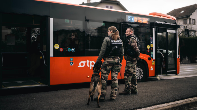 Agrandir l'image Une équipe cynophile de la gendarmerie composée d'une femme (à gauche), d'un homme (à sa droite) et d'un malinois (tenu en laisse par la femme) se tiennent debout, de dos, sur un trottoir, alors qu'un autobus orange est arrêté à leur niveau