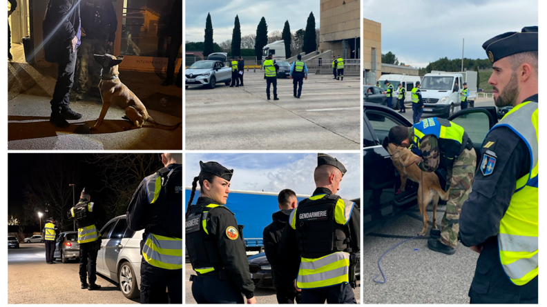 Planche de photos montrant des gendarmes et des équipes cynophiles lors d'opérations de contrôle.