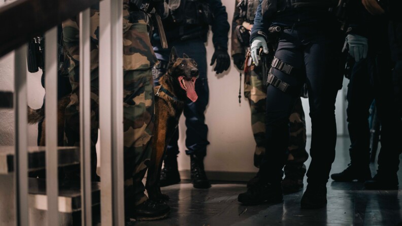 Dans un escalier d'immeuble, on aper&ccedil;oit les jambres de plusiers militaires qui se tiennent debout, statiques. Au niveau de leurs jambes se tient un chein (race malinoise), lui aussi debout.