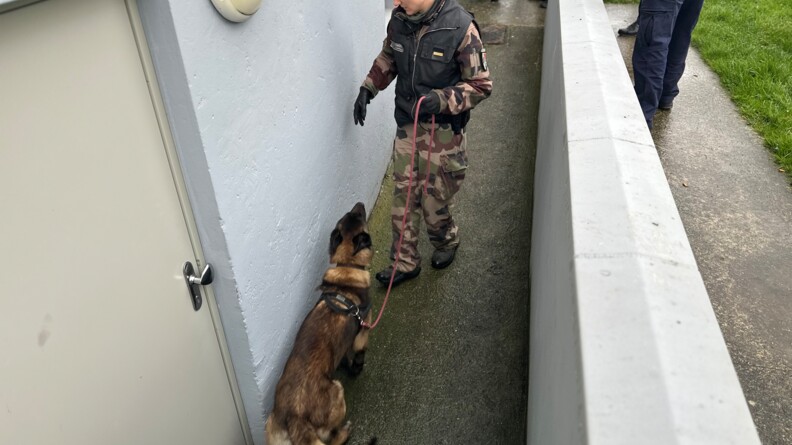 Dans un corridor ext&eacute;rieur longeant la fa&ccedil;ade d'un b&acirc;timent, on aper&ccedil;oit une femme en tenue militaire kakie, tenant au cordeau un berger belge malinois. Derri&egrave;re elle, on aper&ccedil;oit les jambes d'autres militaires.