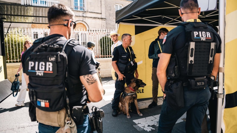 Un chien REXPEMO en poste fixe avec le PIGR.