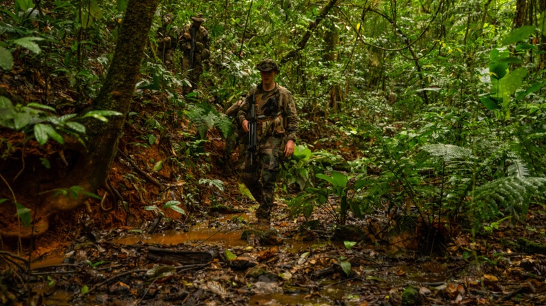 Agrandir l'image Gendarmes progressant en forêt