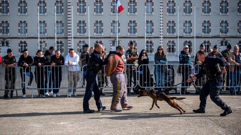 Démonstration de chien mordant, un homme équipé d'une tenue épaisse, menotté, tenue par un gendarme, et face à eux un maître de chien tient en laisse son malinois qui attaque