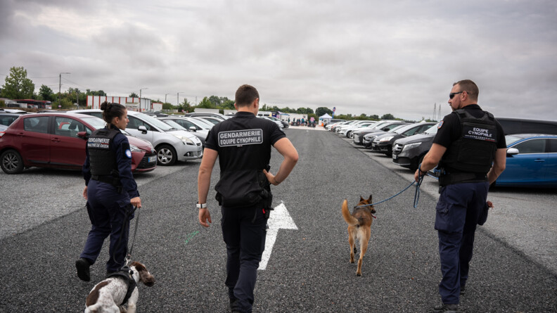 Trois gendarmes de dos, de gauche à droite une femme et deux hommes, portant respectivement les mentions "Gendarmerie maître de chien", "Gendarmerie équipe cynophile" et "Equipe cynophile gendarmerie" imprimées en blanc sur le dos de leur t-shirt noir. La femme tient en laisse un springer anglais, qui la suit. Le gendarme du milieu n'a pas de chien, mais la main droite sur la hanche. Le gendarme de droite tient en laisse un malinois, qui est en tête. Le trio est au milieu de la chaussée, au milieu d'un parking, avec des voitures garées en épi de part et d'autre.