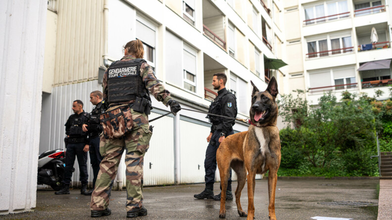Agrandir l'image Quatre militaires, dont une femme tenant en laisse un malinois, se tiennent debout, devant un ensemble d'immeubles, dans une cité. Le temps est pluvieux.