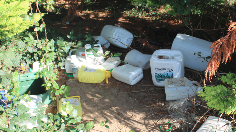 Un amas de bidons en plastique déposés dans la nature, dans un sous-bois.