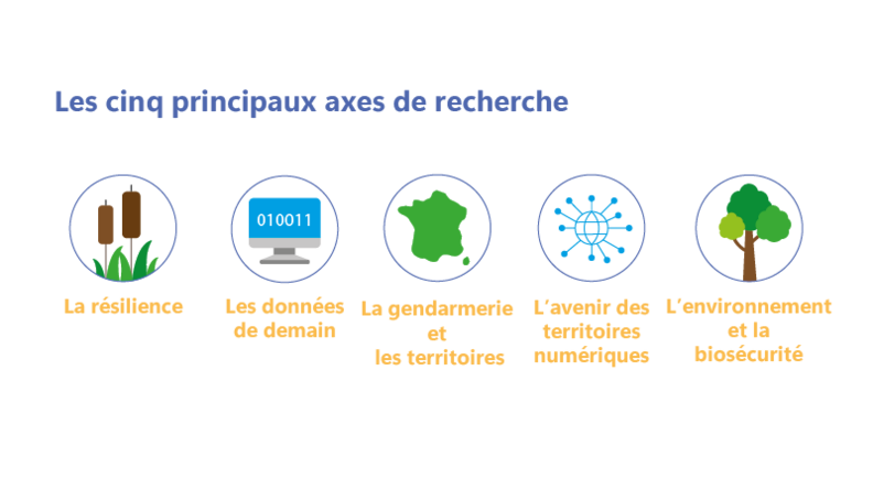 Agrandir l'image