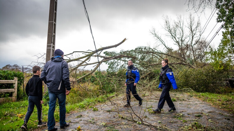 Deux gendarmes, un homme, à gauche, et une femme, à droite, se dirigent vers un homme et son enfant. Derrière eux, la route est coupée par des arbres tombés au sol, emportant avec eux les câbles électriques.