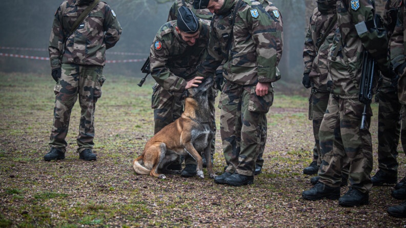 Exercice EOGN AMSCC (1).jpg