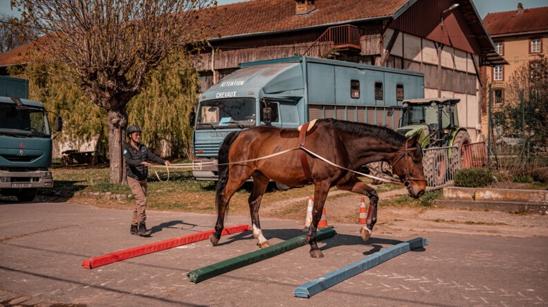 Camille, participante au stage Cent'Or, à gauche, guide son cheval lors d'un parcours d'embûche, à la longue rêne.