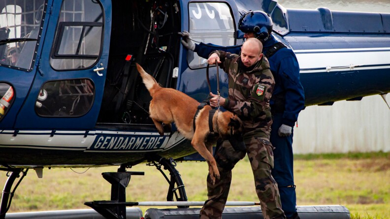 Agrandir l'image Un chien malinois en train de sauter d'un hélicoptère gendarmerie posé au sol, tenu par son maître et un pilote gendarmerie