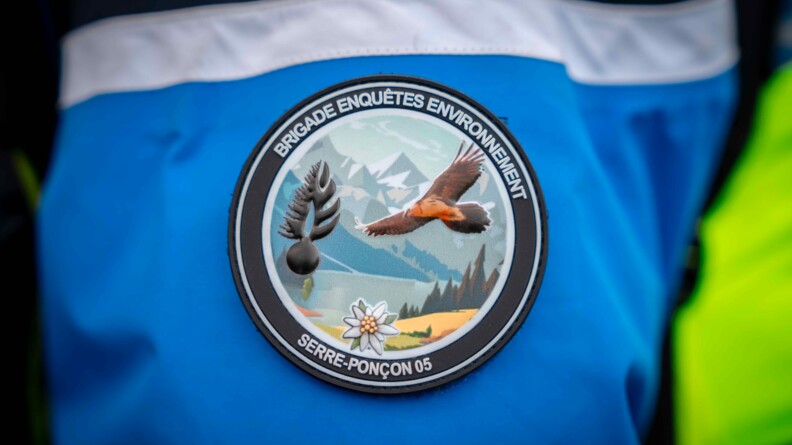 Rondache de la brigade enqu&ecirc;tes environnement de Serre-Pon&ccedil;on sur laquelle on voit un aigle et la grenade de la gendarmerie sur fond de montagnes