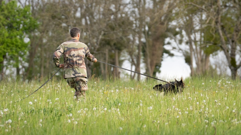 Photo d'un gendarme en tenue kakie, de dos, suivant un grand chien noir qu'il tient en laisse. L'homme et l'animal &eacute;voluent dans des herbes hautes.