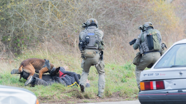 Interpellation par l'&eacute;quipe cynophile du GIGN.