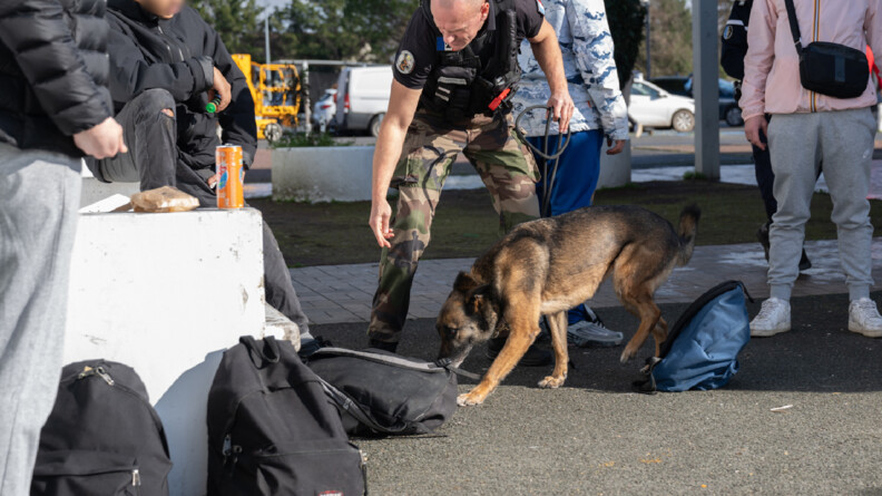 Un chien est entrain de sentir les sacs &agrave; dos d'un groupe de jeune, accompagn&eacute; de son ma&icirc;tre.
