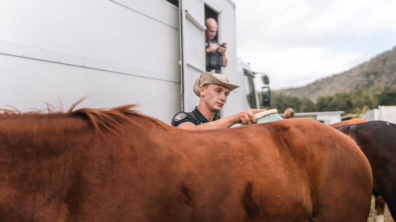 Gendarme du PSIC brossant son cheval à l'issue de la patrouille.