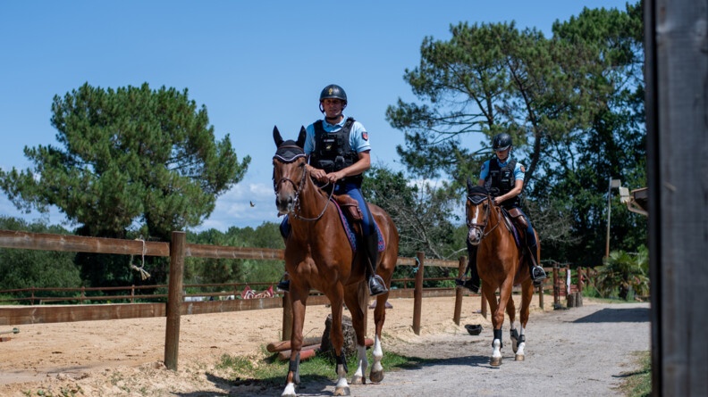 Agrandir l'image Deux gendarmes montés, sur un chemin, longeant une barrière. Au second plan, la pinède