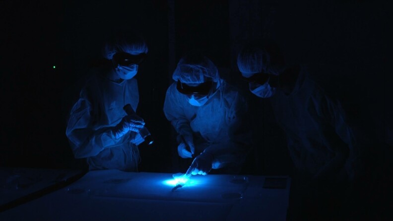 science forensique
