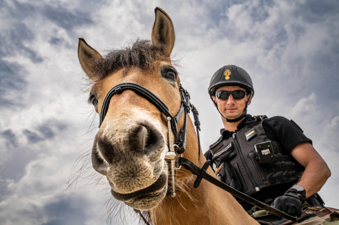 Agrandir l'image