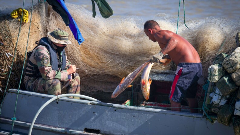 Pêcheur retirant le produit de sa pêche des cales sous le contrôle d'un gendarme de La Charente.