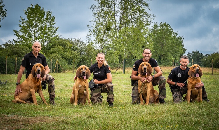 Agrandir l'image Les quatre équipes cynophiles en formation au GIC Rennes.