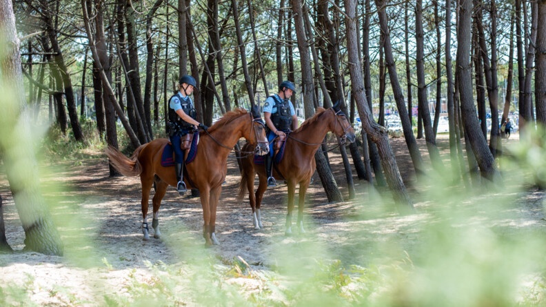 Agrandir l'image Deux gendarmes à cheval, à l'arrêt, sous la pinède, regardet leurs chevaux. La photo semble prise entre les aiguilles des pins, donnant une atmosphère de photo volée à l'image