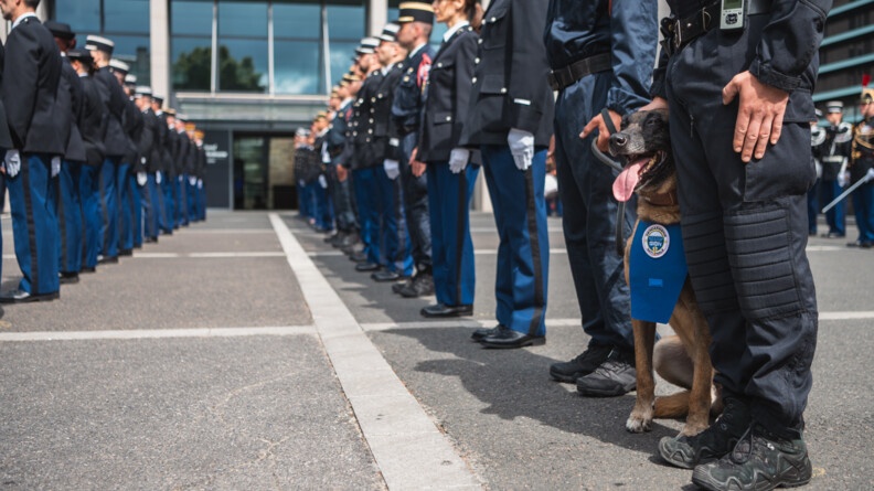 Dans la cour de la DGGN, parmi les m&eacute;daill&eacute;s, se trouve l'un des chiens du GIGN.