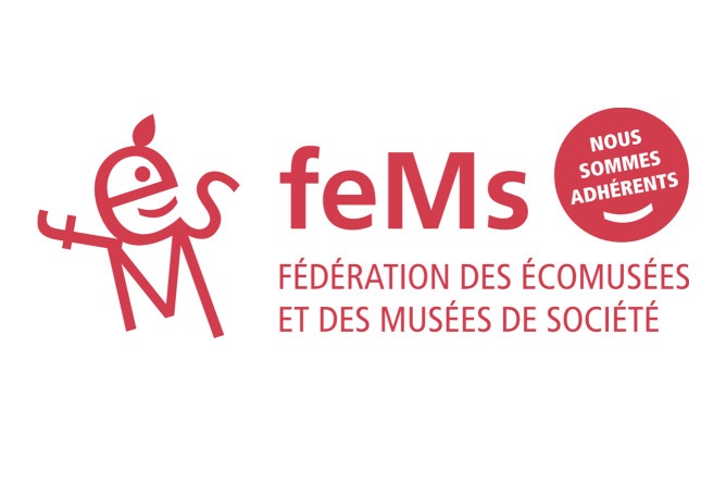FEMS.jpg