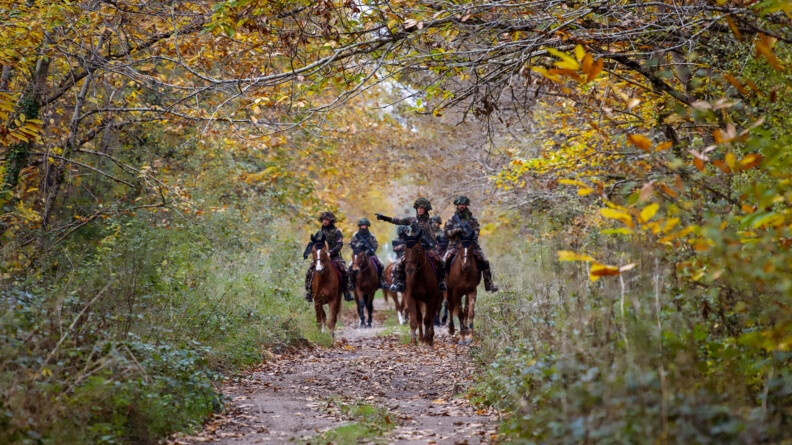 Six cavaliers de la Garde républicaine vus de face, en treillis et armés de Famas, traversent les bois sur leurs montures, sur une piste forestière. La cavalière en tête pointe une direction de son bras droit.